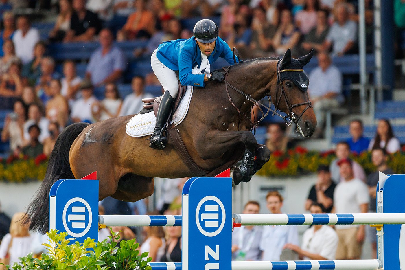 Belgian show jumper Abdel Saïd clearing a 1.55 m oxer with the bay gelding Quaker Brimbelles Z