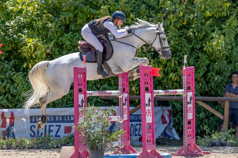 SILVER BLUE DE BRANDEGEM